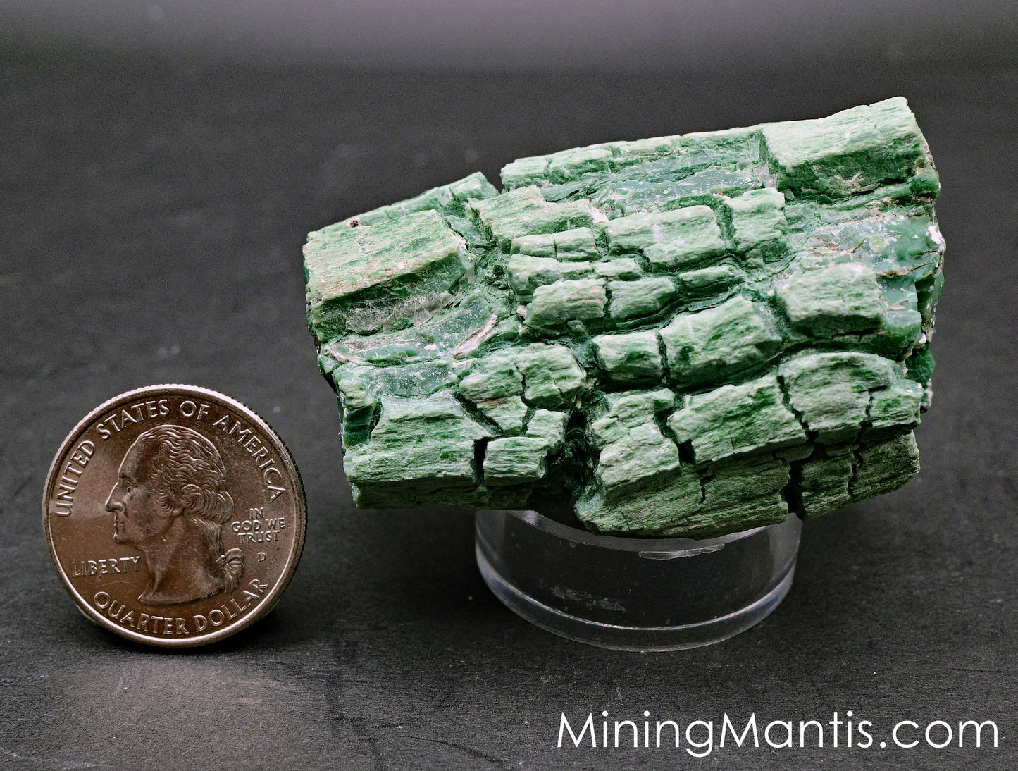 Copper Replaced Petrified Wood