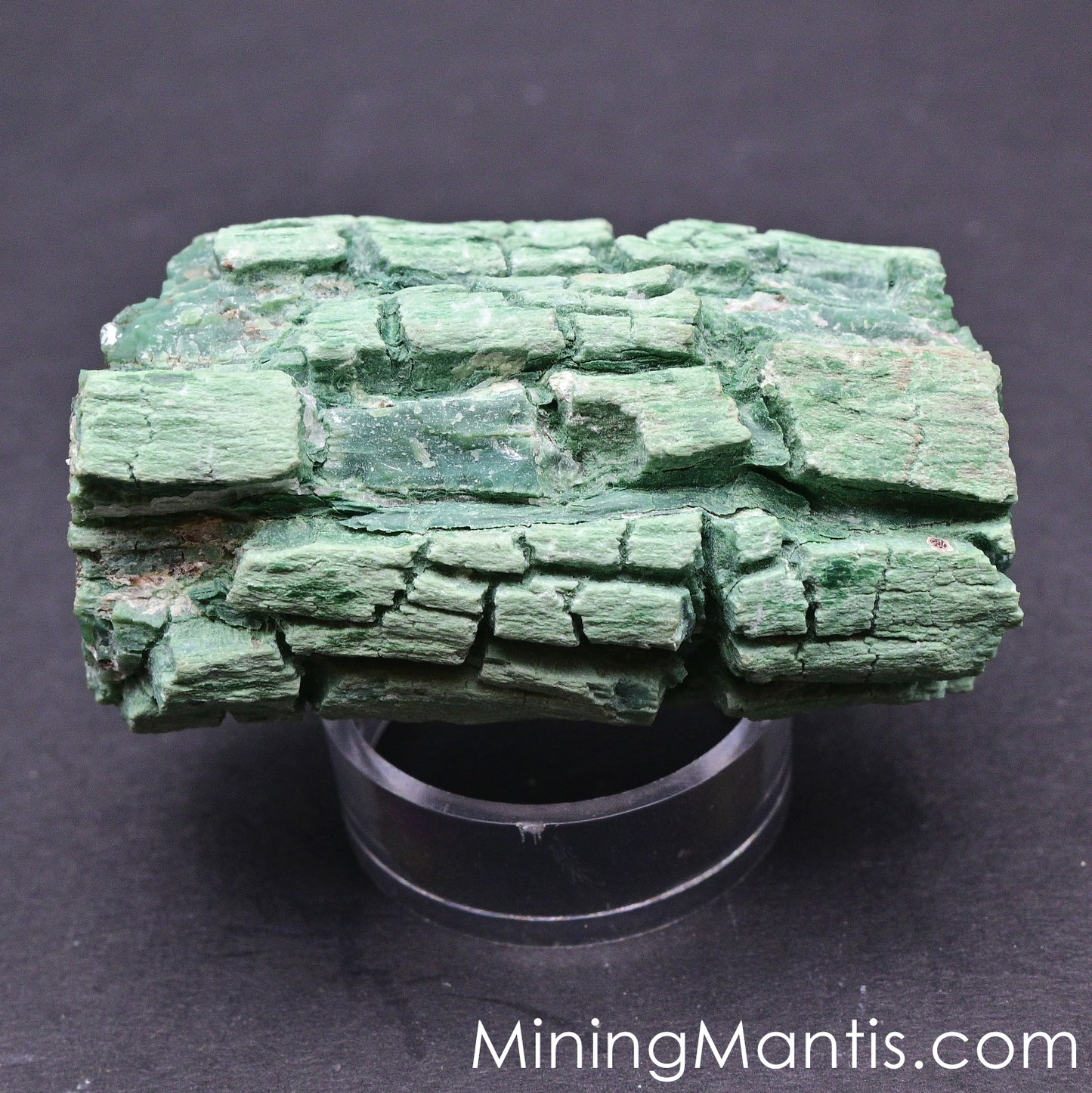 Copper Replaced Petrified Wood