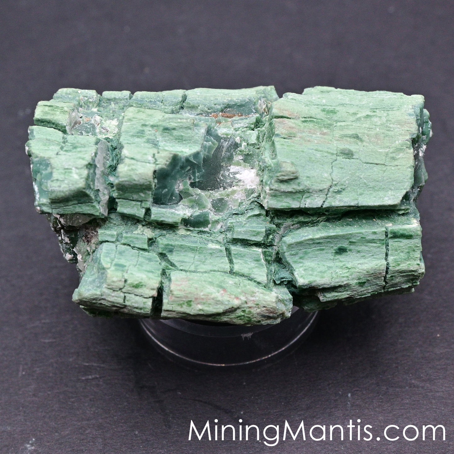 Copper Replaced Petrified Wood