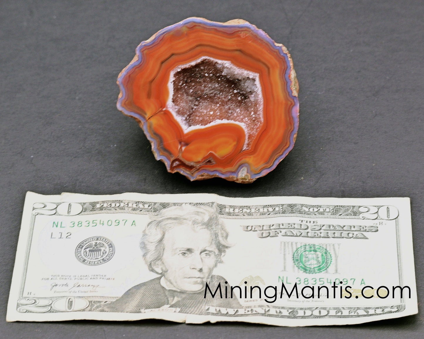 Condor Agate Geode Half
