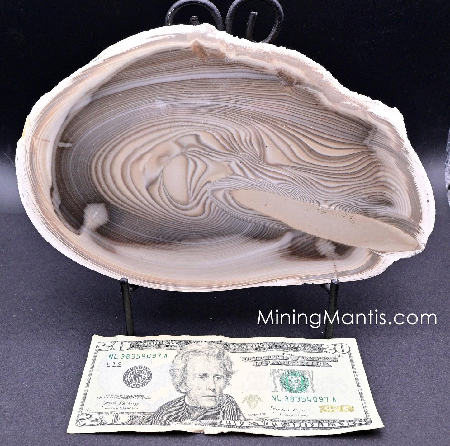 Polish Banded Flint