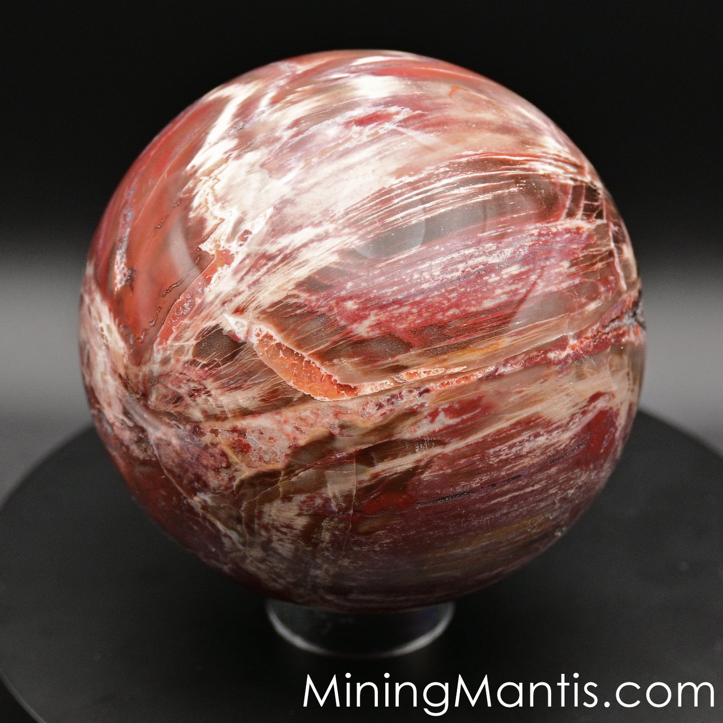 Polished Madagascar Wood Sphere