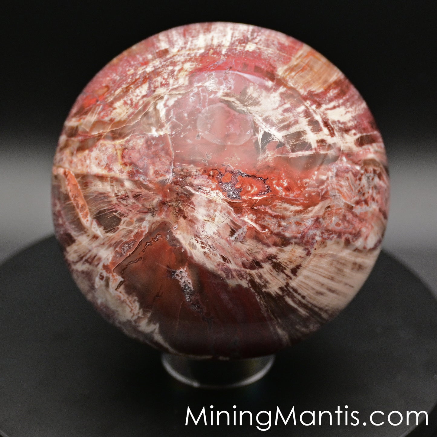 Polished Madagascar Wood Sphere