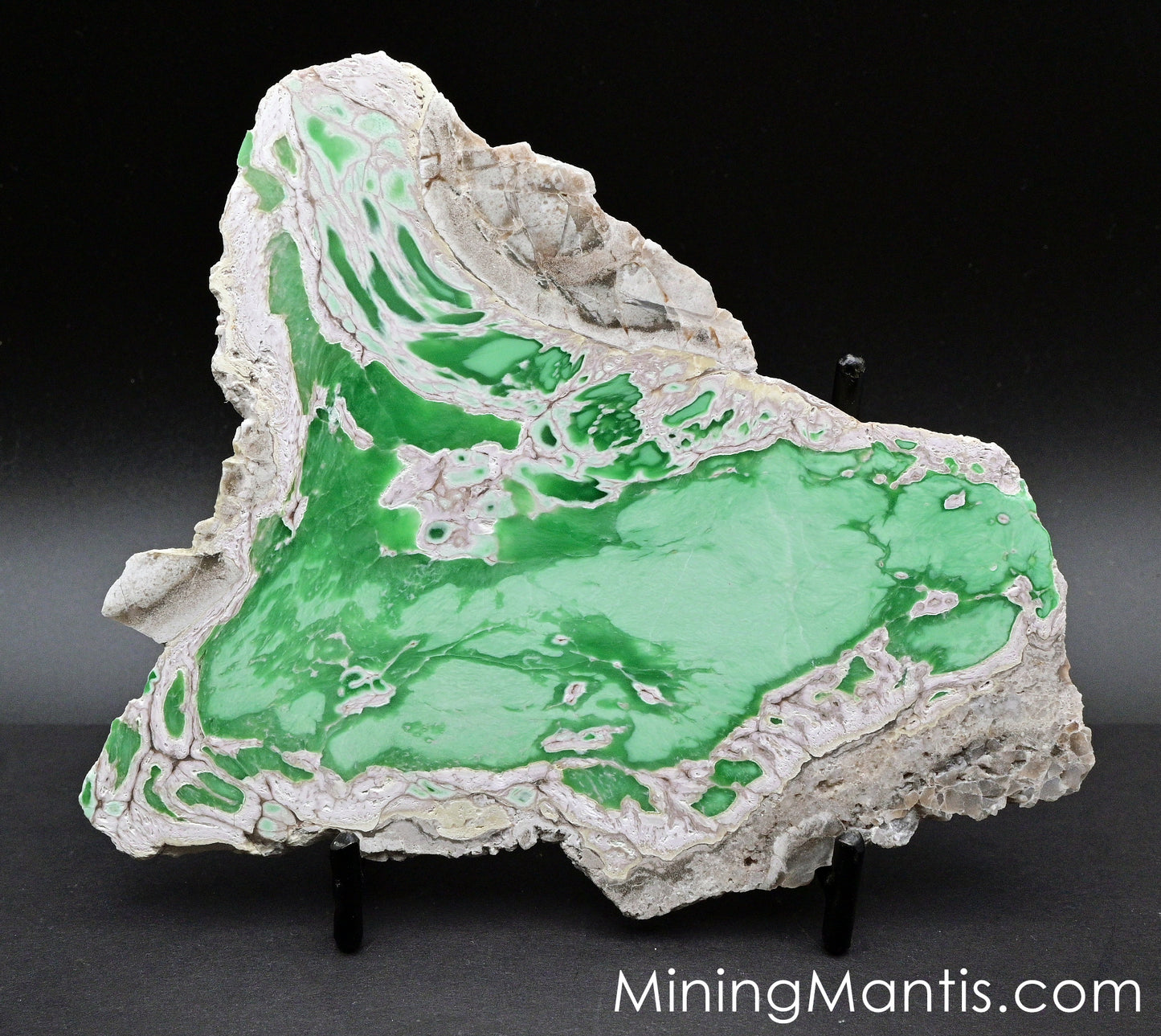 Variscite with Crandallite Slab