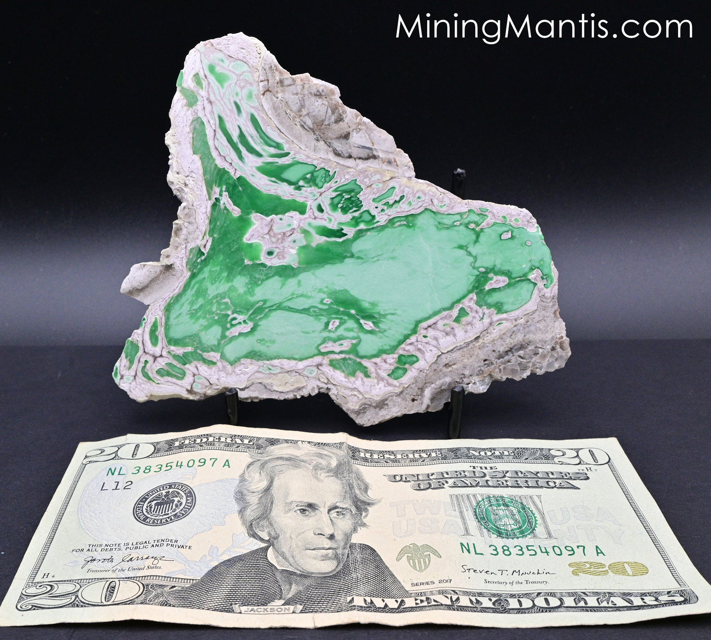 Variscite with Crandallite Slab