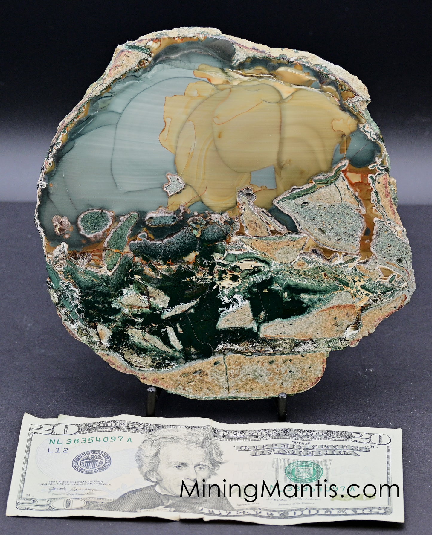 Blue Mountain Jasper - Specimen B