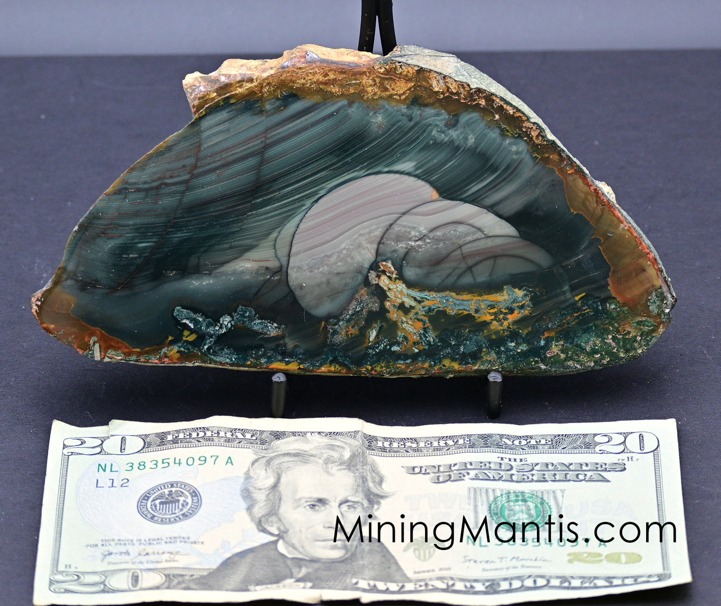 Blue Mountain Jasper - Specimen G