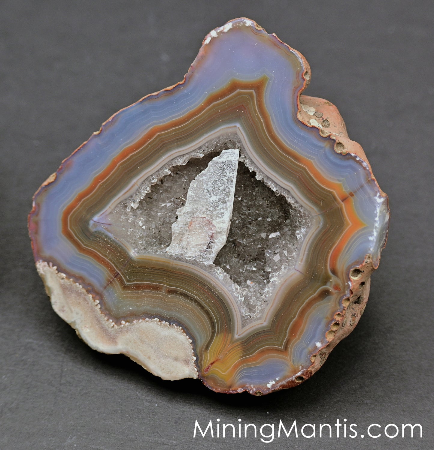 Condor Agate - Pair D
