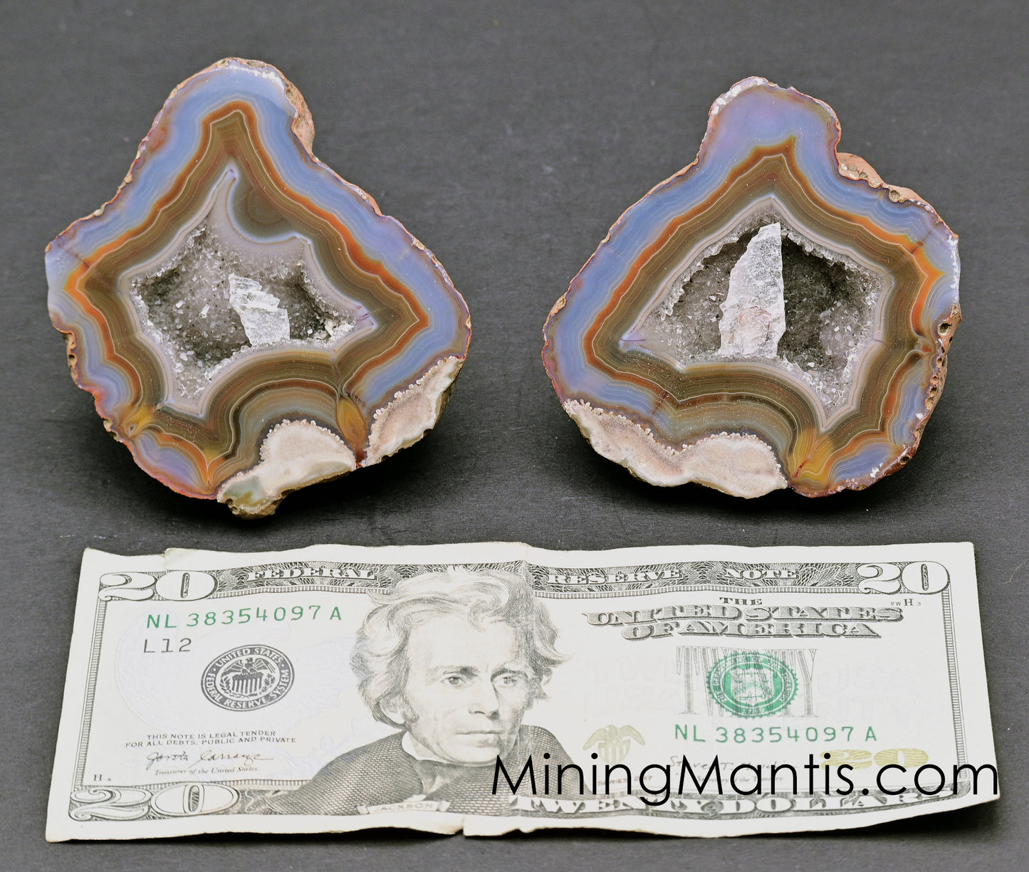 Condor Agate - Pair D