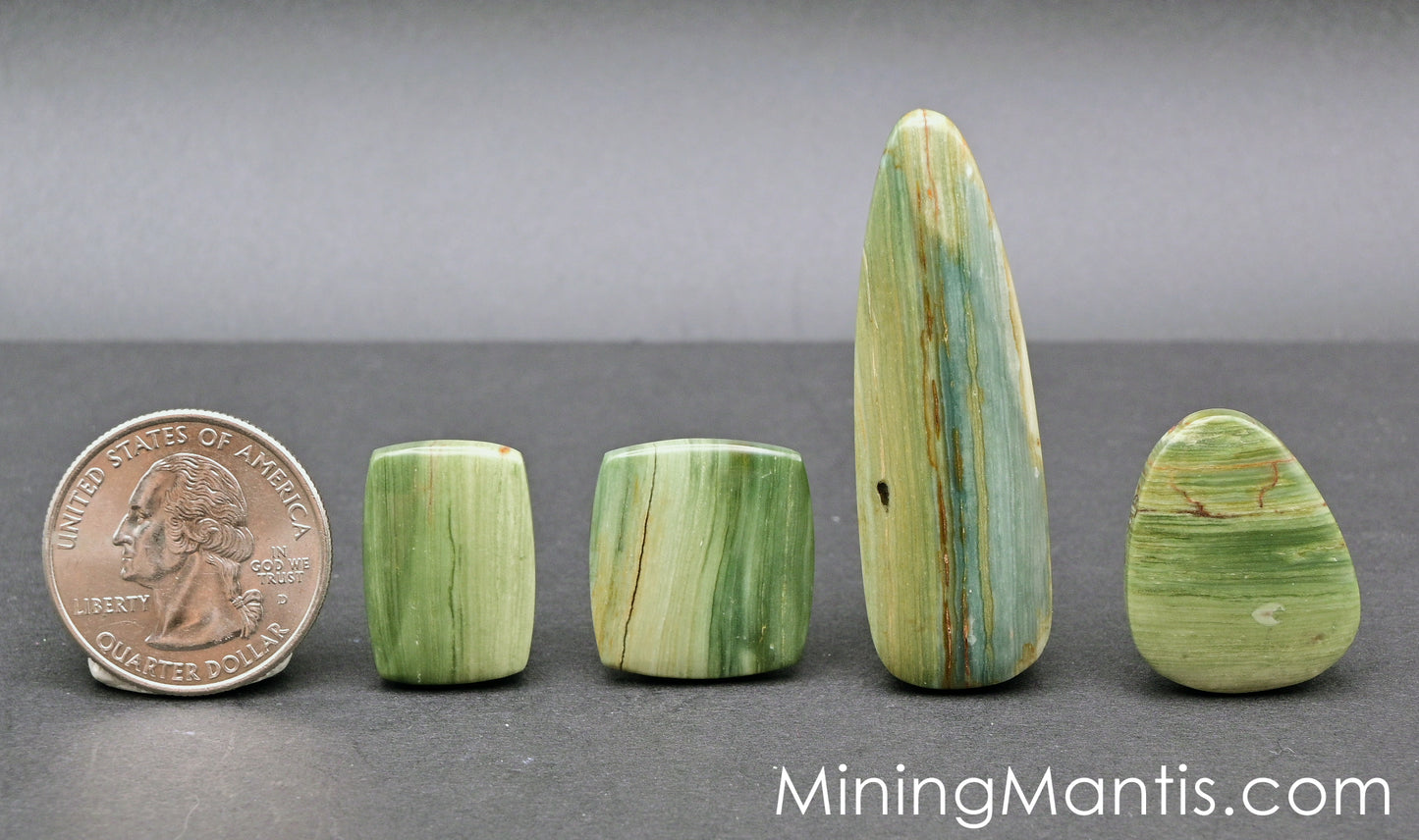 Petrified Swamp Bog Wood Cabs (4 Pc)