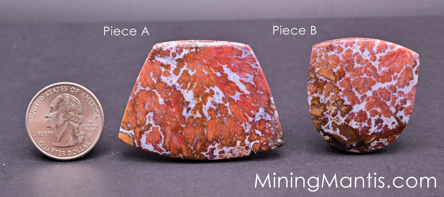Death Valley Agate Cabs (2 pc)