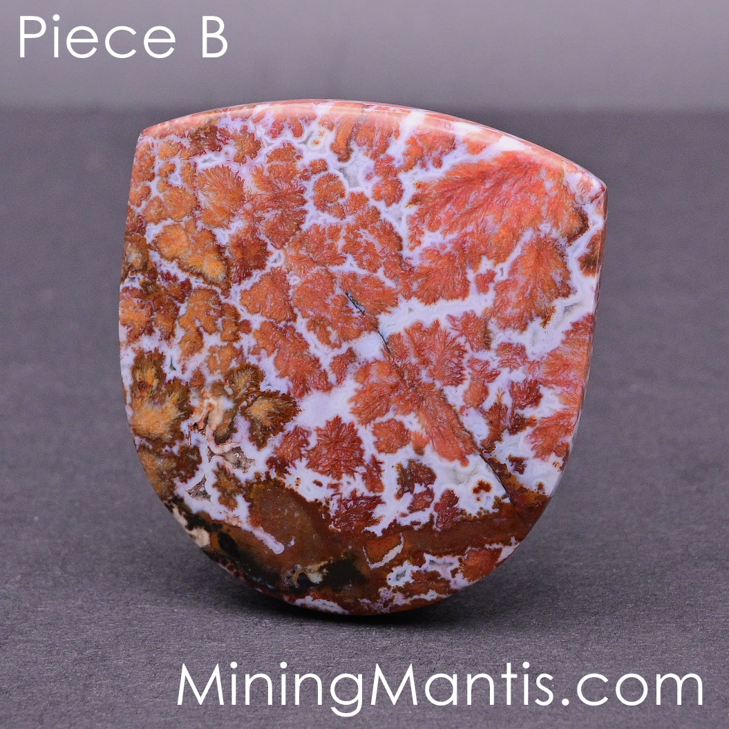 Death Valley Agate Cabs (2 pc)