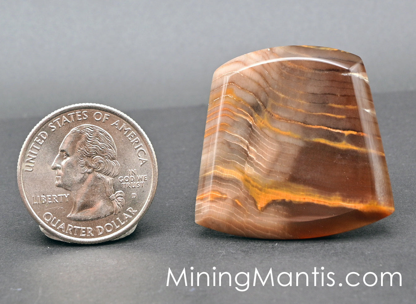 Oregon Petrified Wood Cab