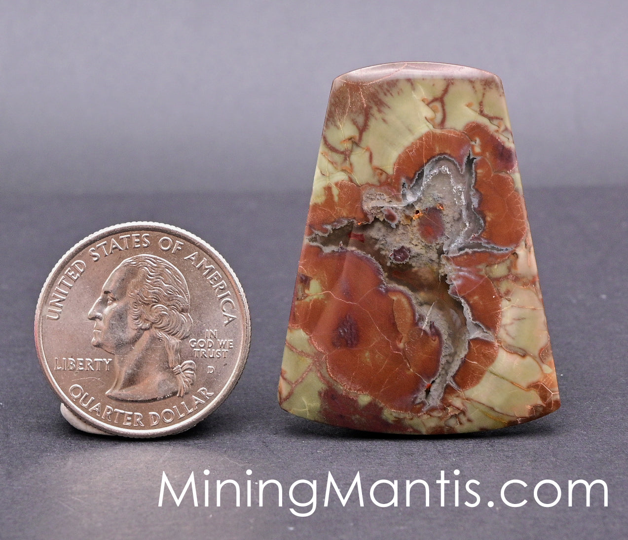 Spider Jasper Cab