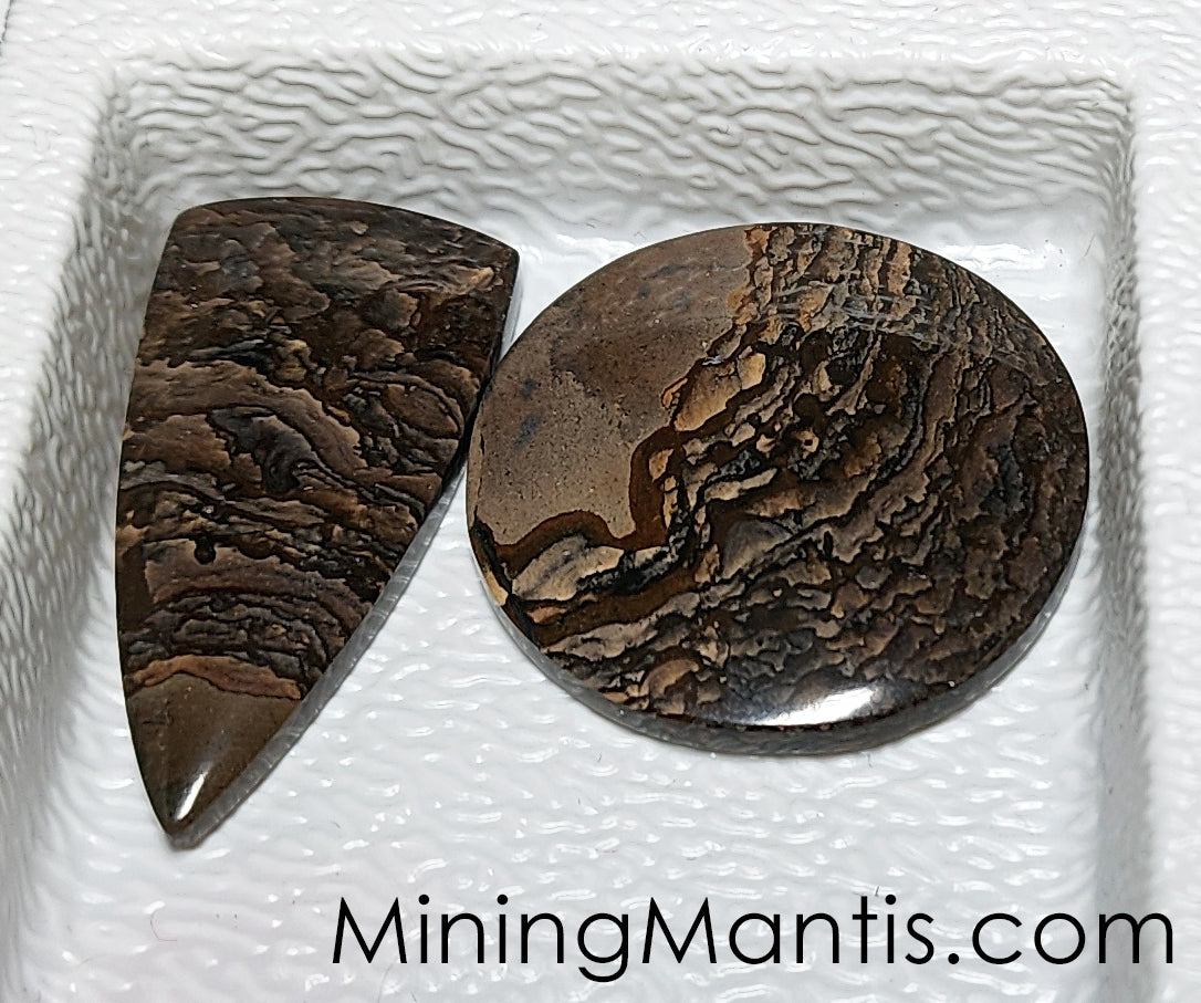 Biggs Picture Jasper Cabs (2 pcs)