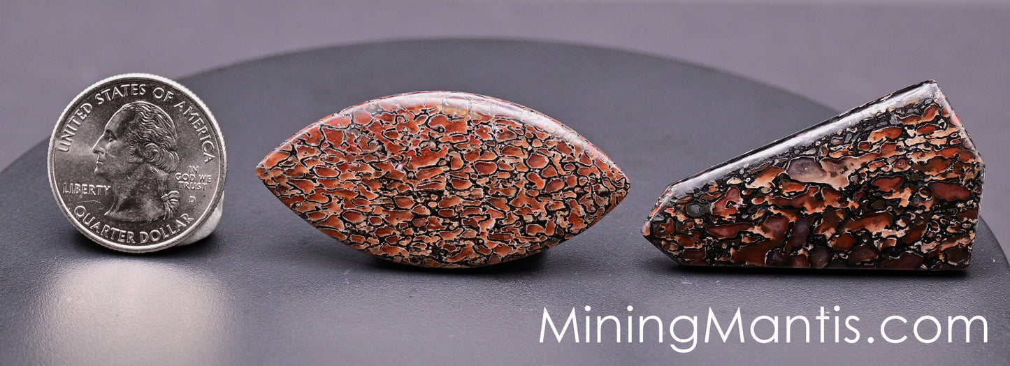 Gem Bone Cabs (2 pcs) - Pair B