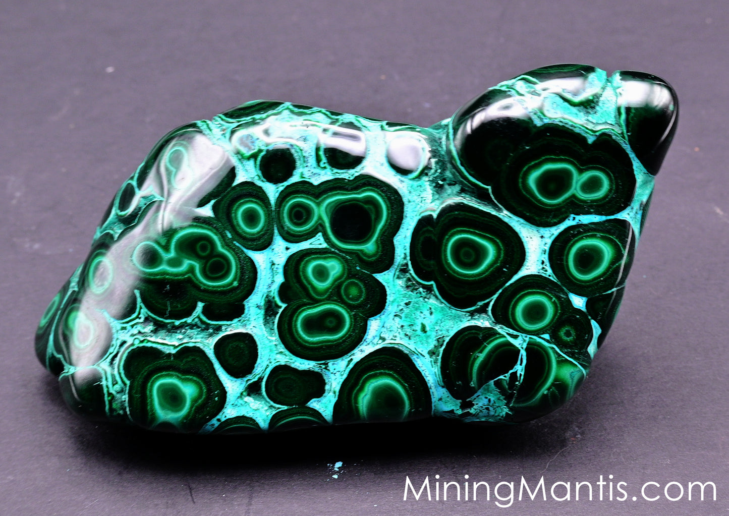 Polished Malachite and Chrysocolla - Specimen A
