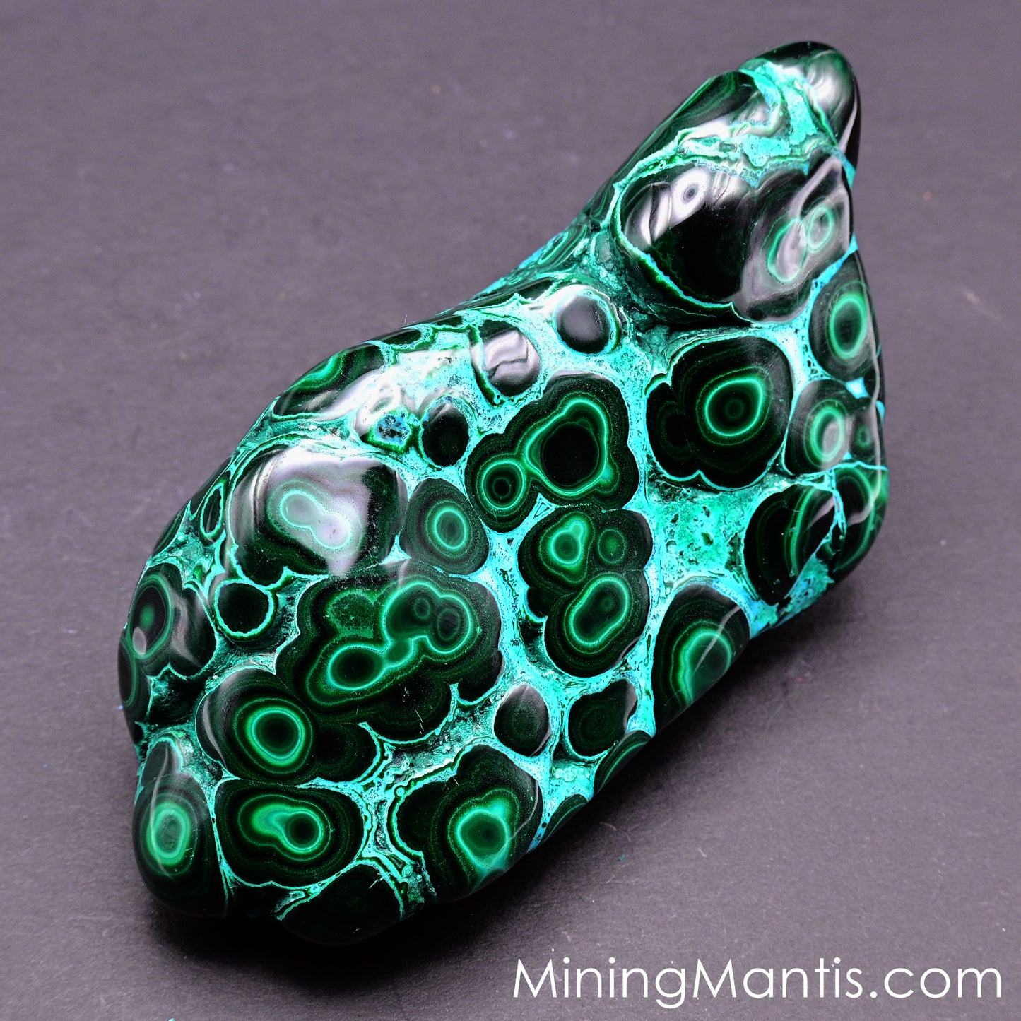 Polished Malachite and Chrysocolla - Specimen A