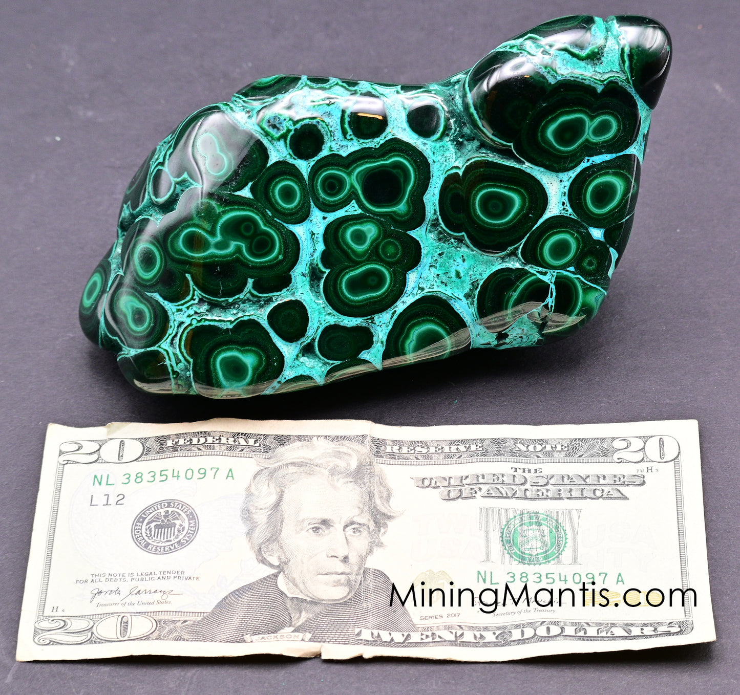 Polished Malachite and Chrysocolla - Specimen A