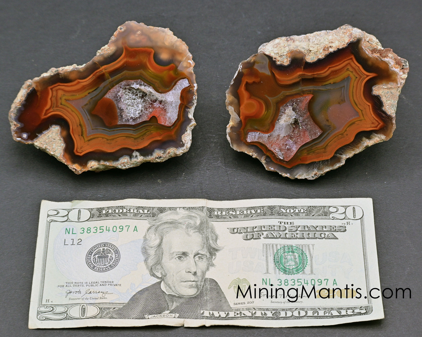 Condor Agate Pair - E