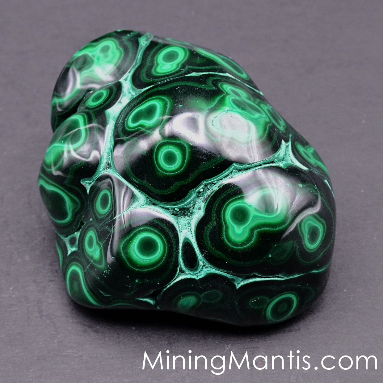Polished Malachite and Chrysocolla - Specimne B