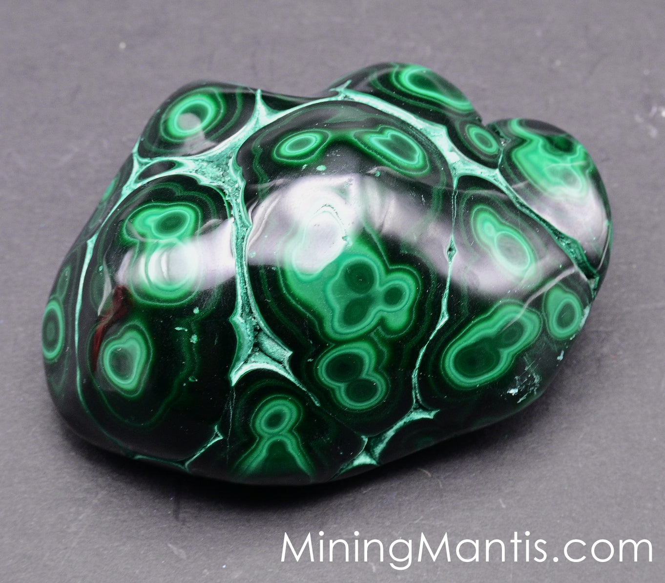 Polished Malachite and Chrysocolla - Specimne B