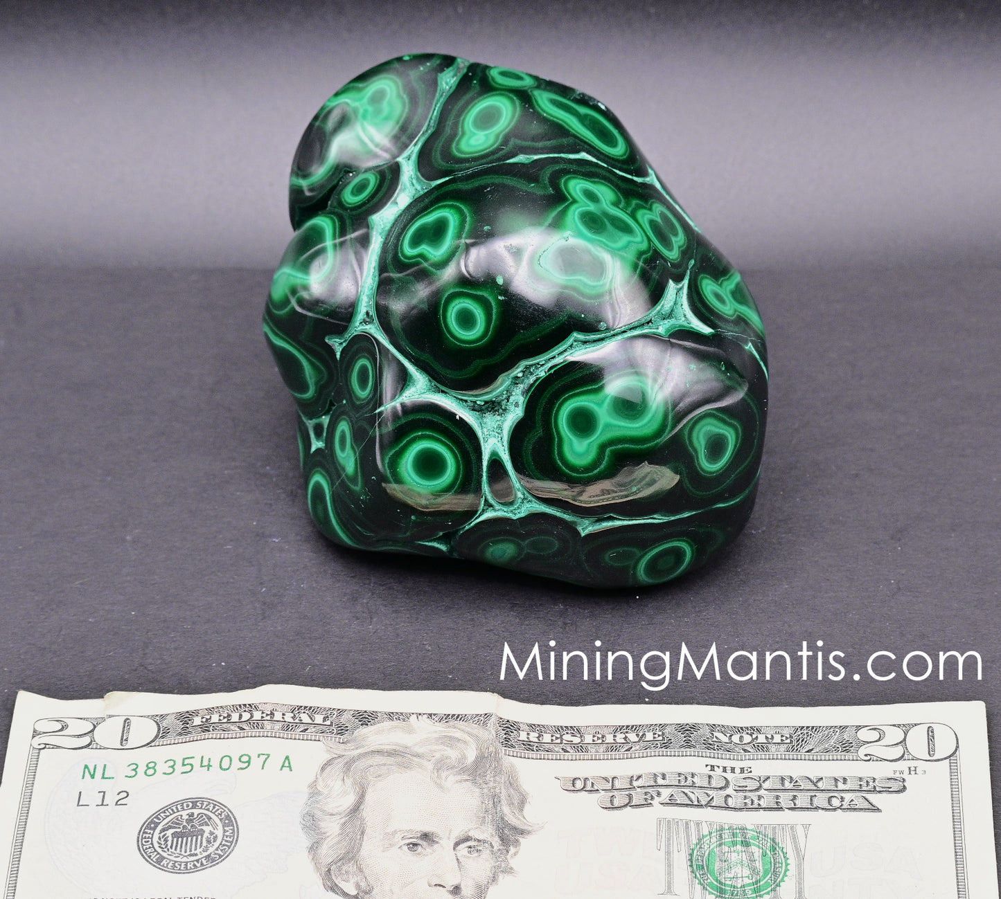 Polished Malachite and Chrysocolla - Specimne B