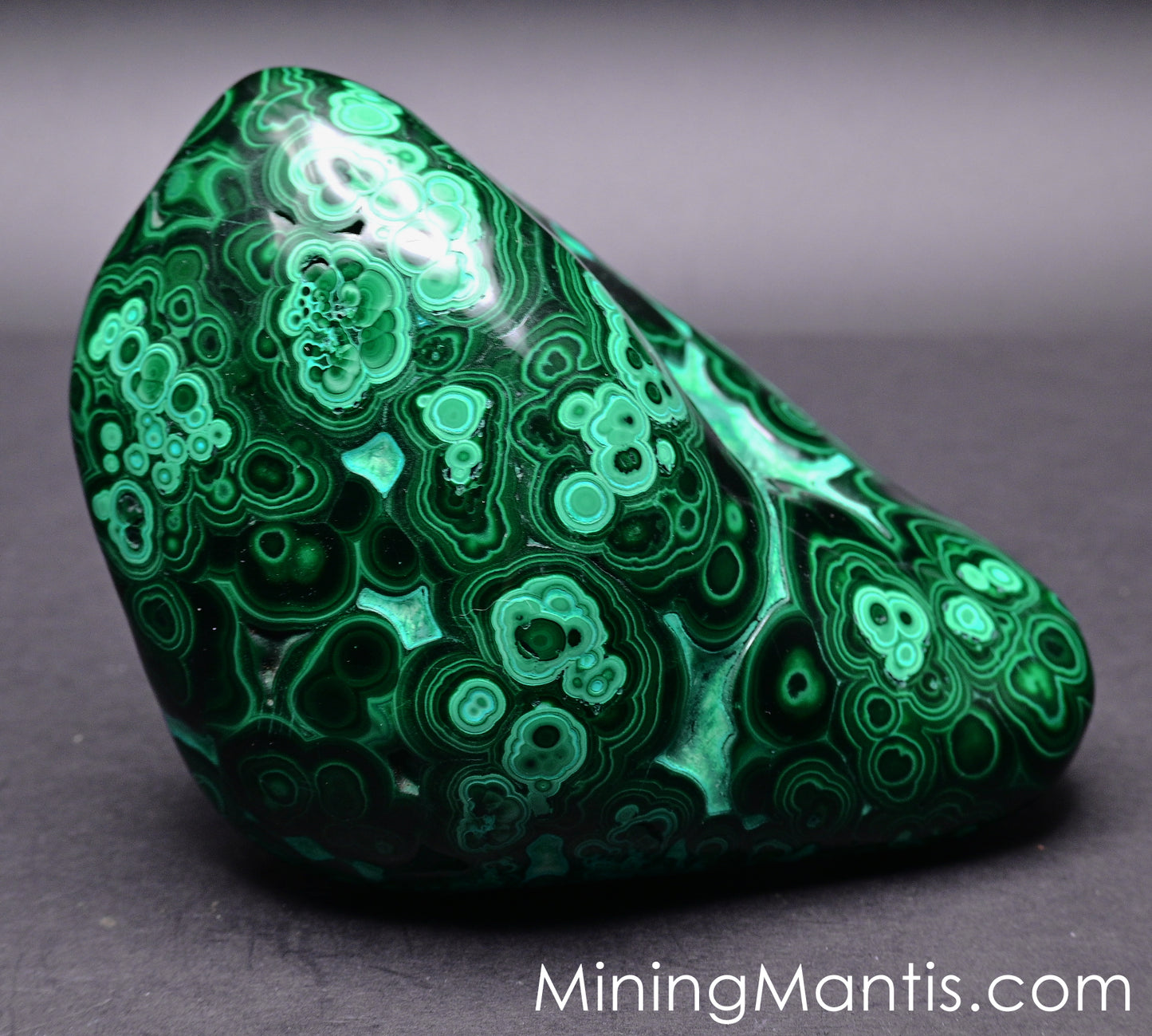 Polished Malachite and Chrysocolla - Specimen C