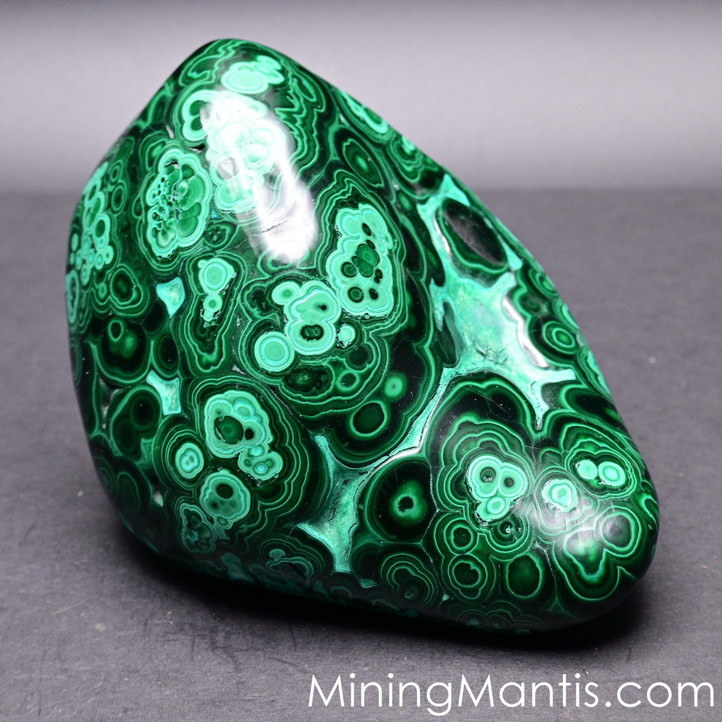 Polished Malachite and Chrysocolla - Specimen C