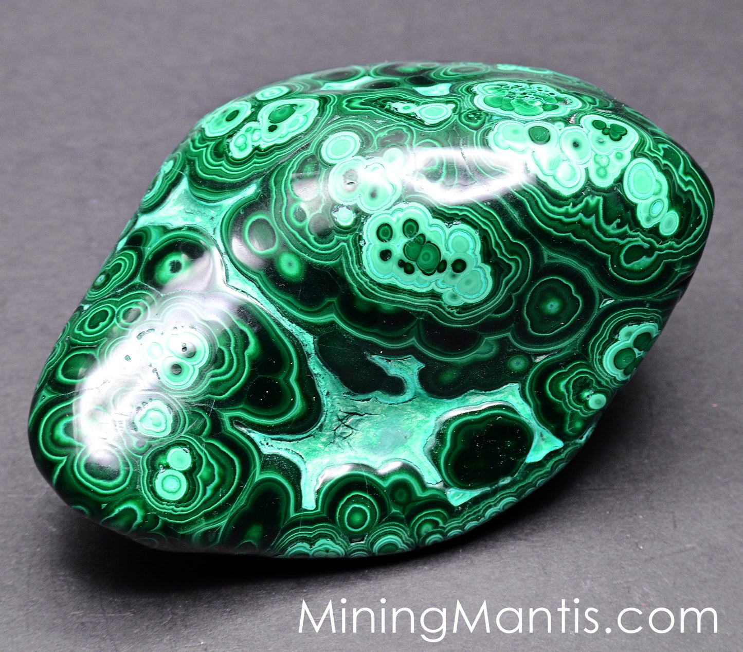 Polished Malachite and Chrysocolla - Specimen C