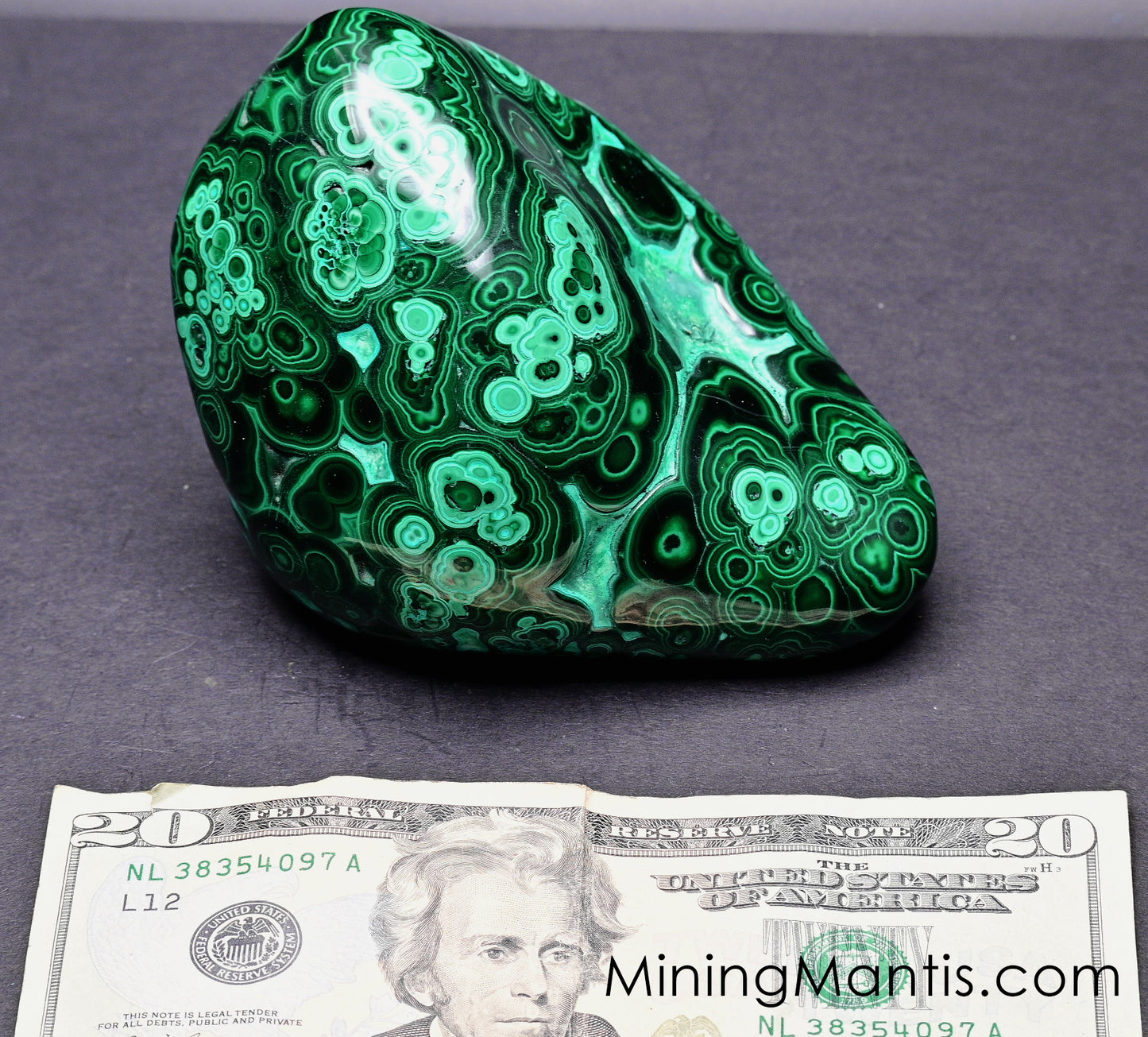 Polished Malachite and Chrysocolla - Specimen C