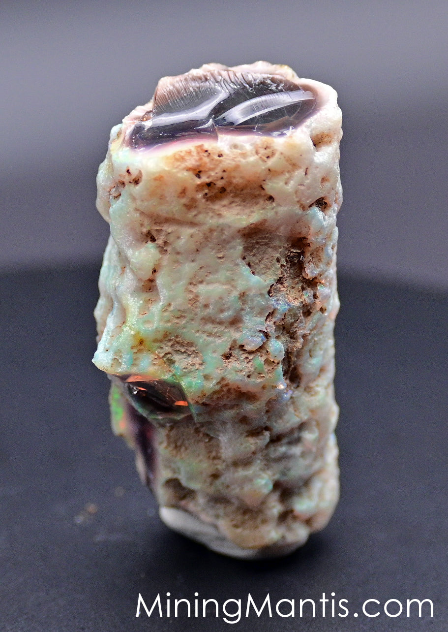 Rainbow Ridge Opalized Petrified Wood - Specimen A