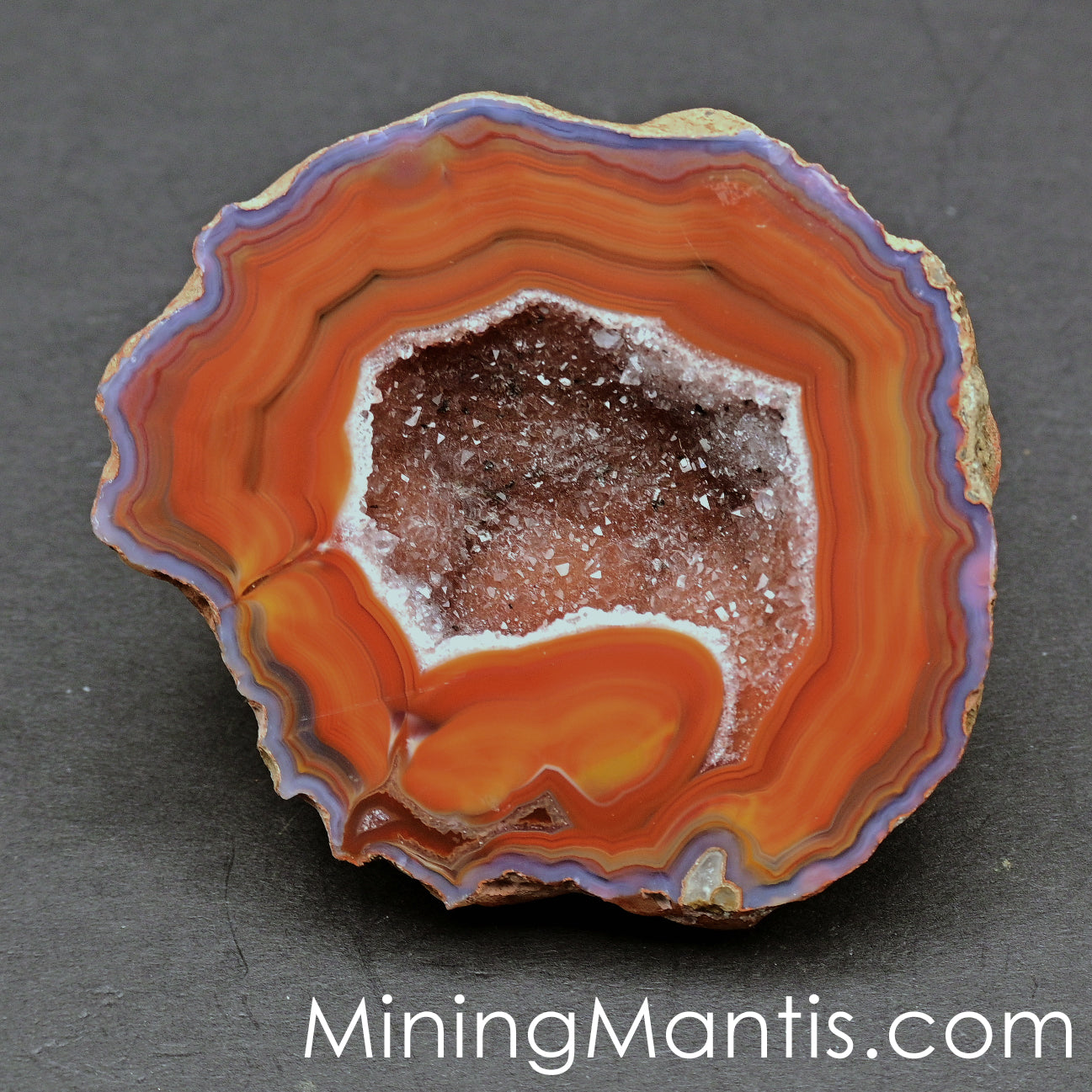 Condor Agate Geode Half