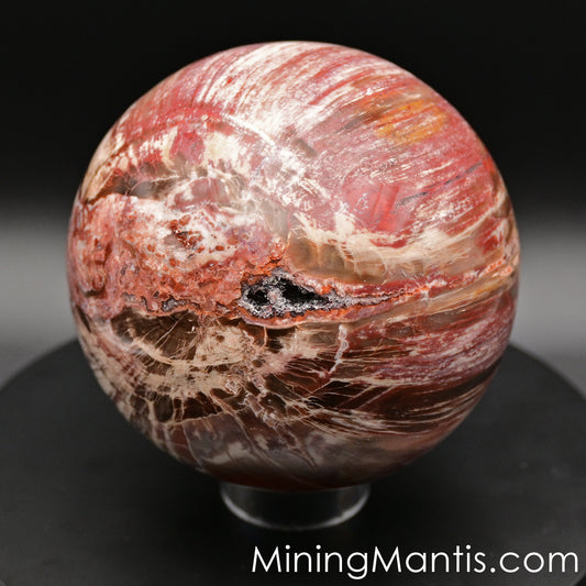 Polished Madagascar Wood Sphere