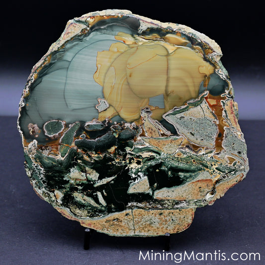 Blue Mountain Jasper - Specimen B