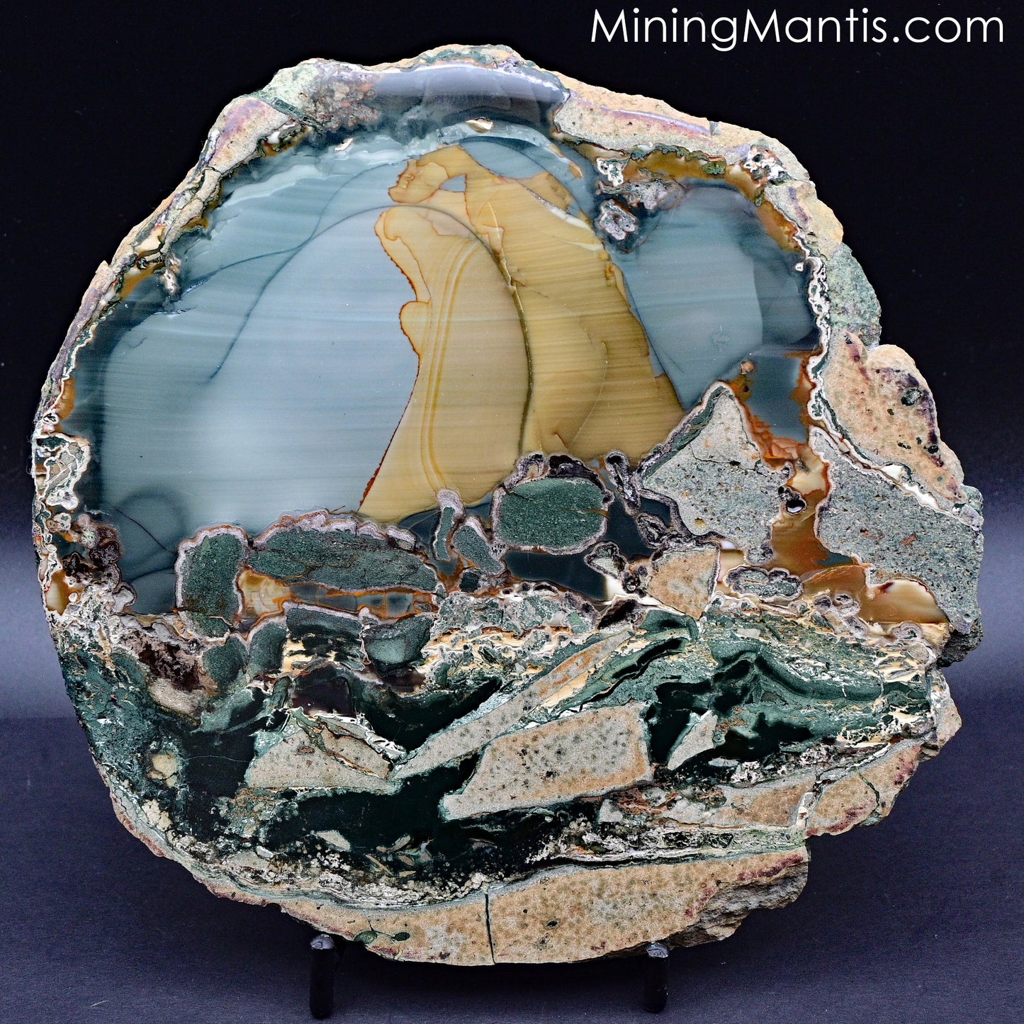 Blue Mountain Jasper - Specimen C