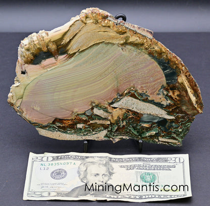 Blue Mountain Jasper - Specimen D