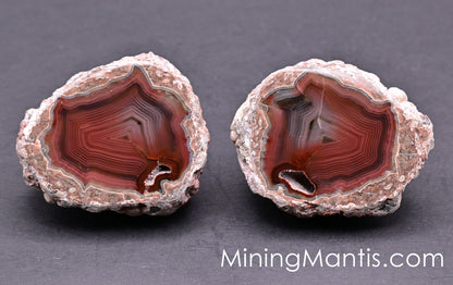 Condor Agate - Pair A