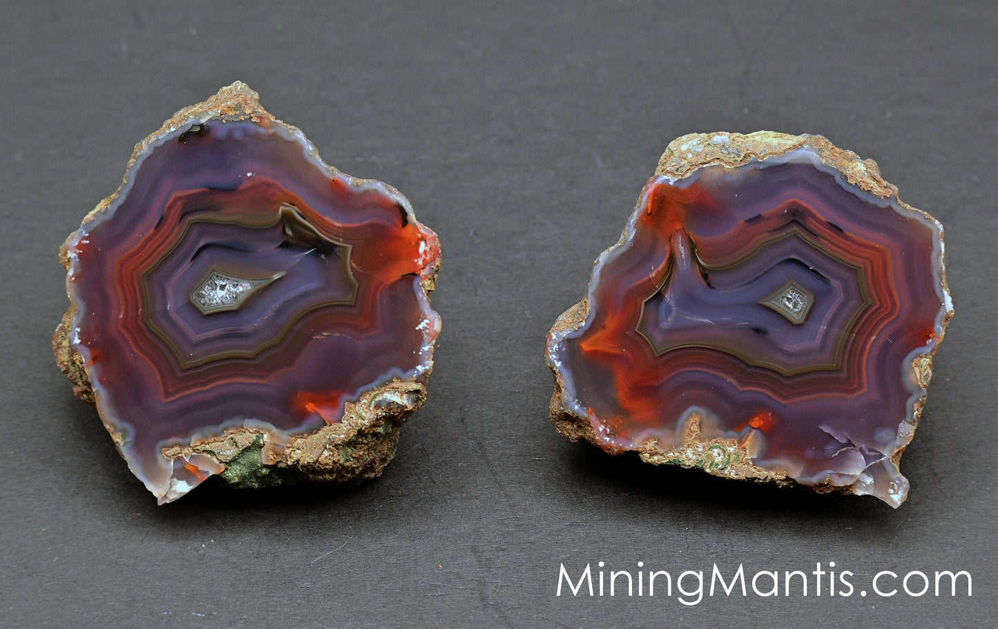 Condor Agate - Pair B