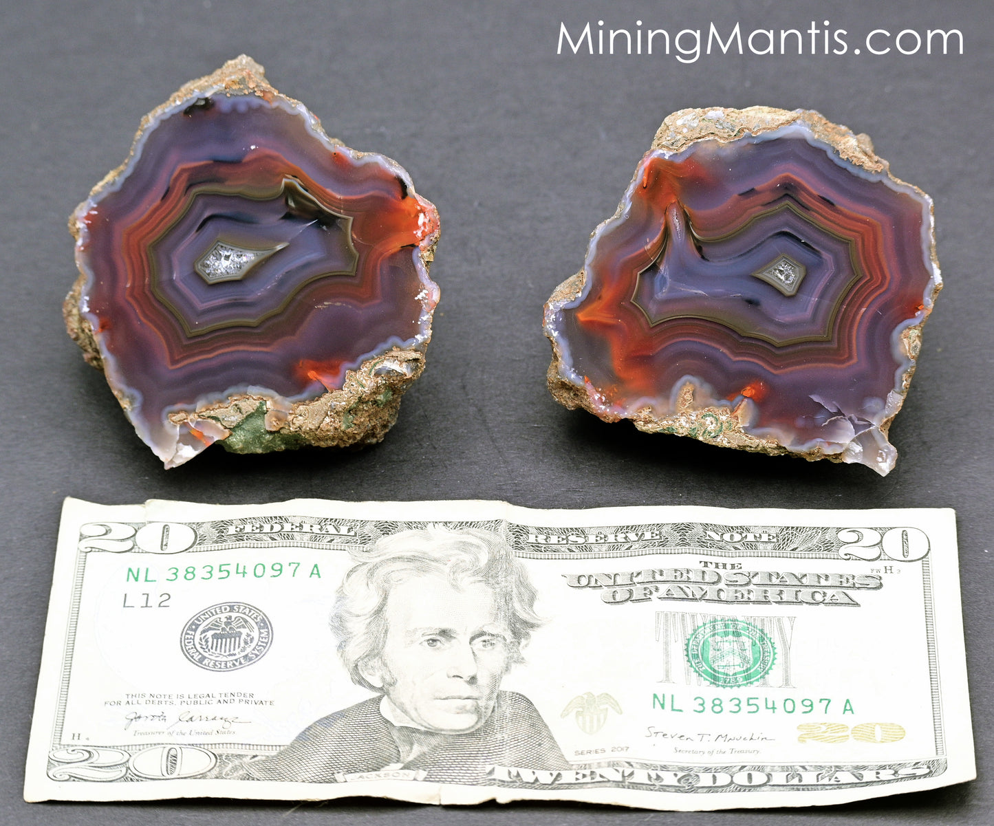 Condor Agate - Pair B