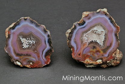 Condor Agate - Pair C