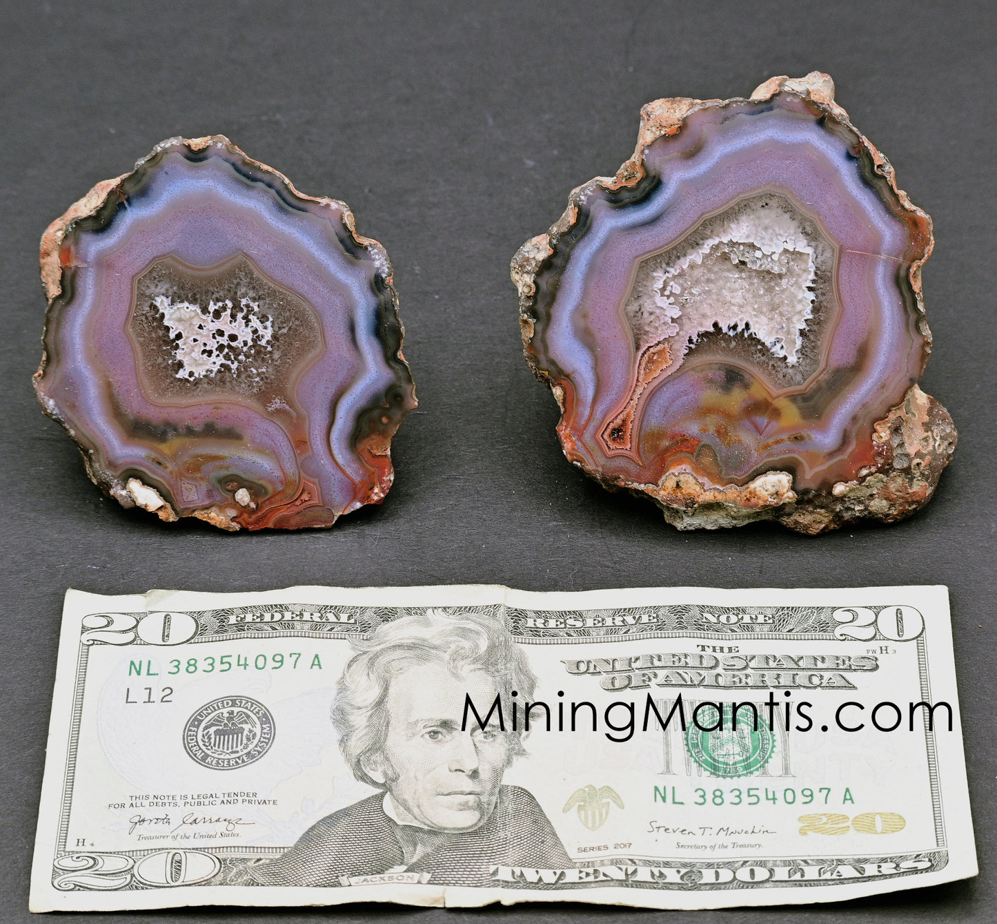 Condor Agate - Pair C