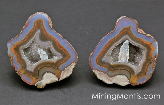 Condor Agate - Pair D