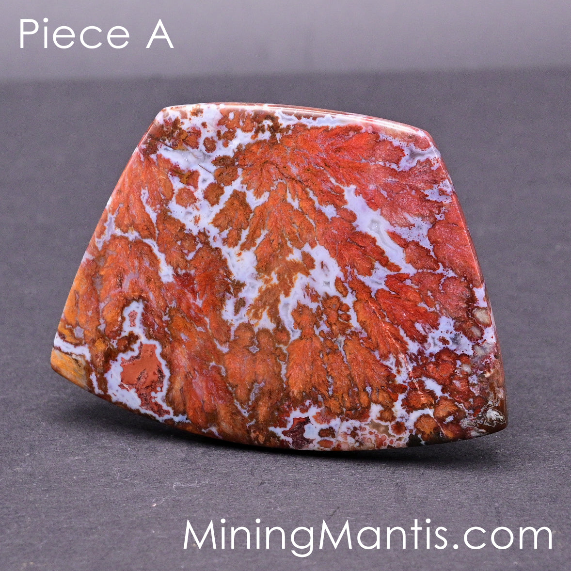 Death Valley Agate Cabs (2 pc)