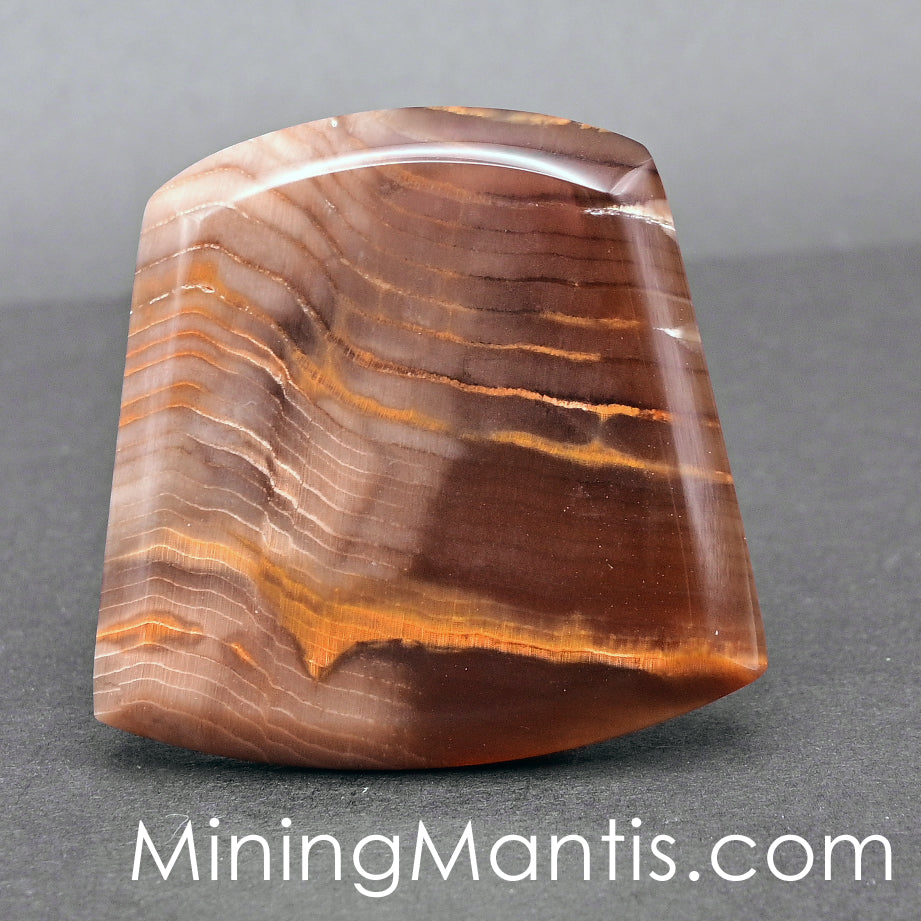 Oregon Petrified Wood Cab