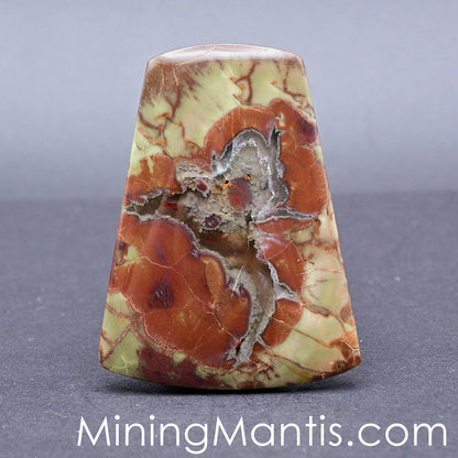 Spider Jasper Cab