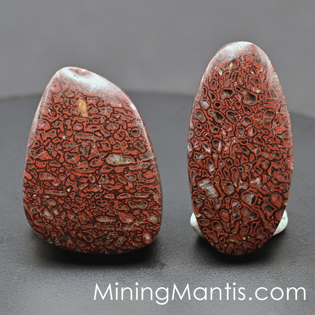 Gem Bone Cabs (2 pc) - Pair A