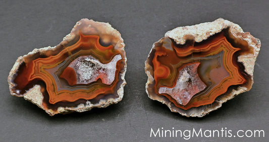 Condor Agate Pair - E