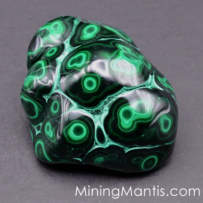 Polished Malachite and Chrysocolla - Specimne B