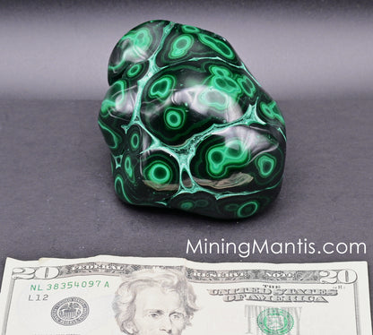 Polished Malachite and Chrysocolla - Specimne B